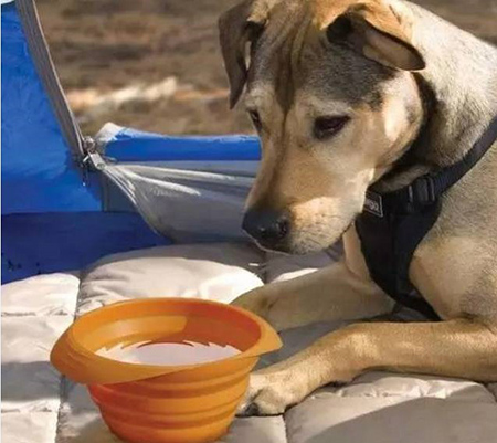 東莞<a href='http://m.gingerandcacao.com/' class='keys' title='點擊查看關(guān)于帝博硅膠制品廠的相關(guān)信息' target='_blank'>帝博硅膠制品廠</a>