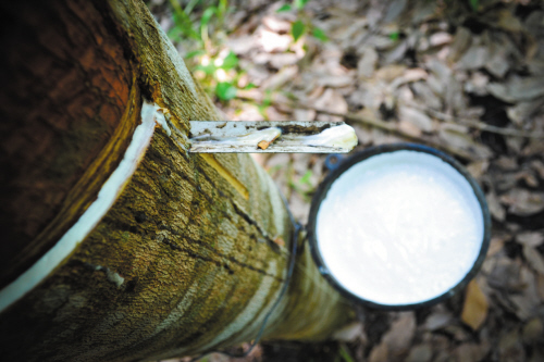 111241SAD.jpg 111241SAD.jpg